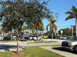 Stuart November 2025