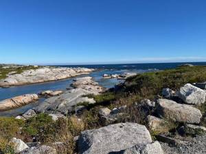 IMG_6732_original